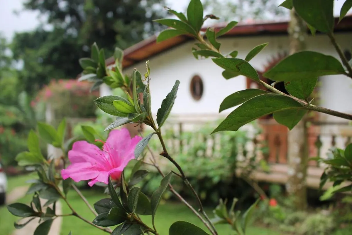 Fresh Weather In Colony, Sc By Drvacationsrental Cambita Garabitos