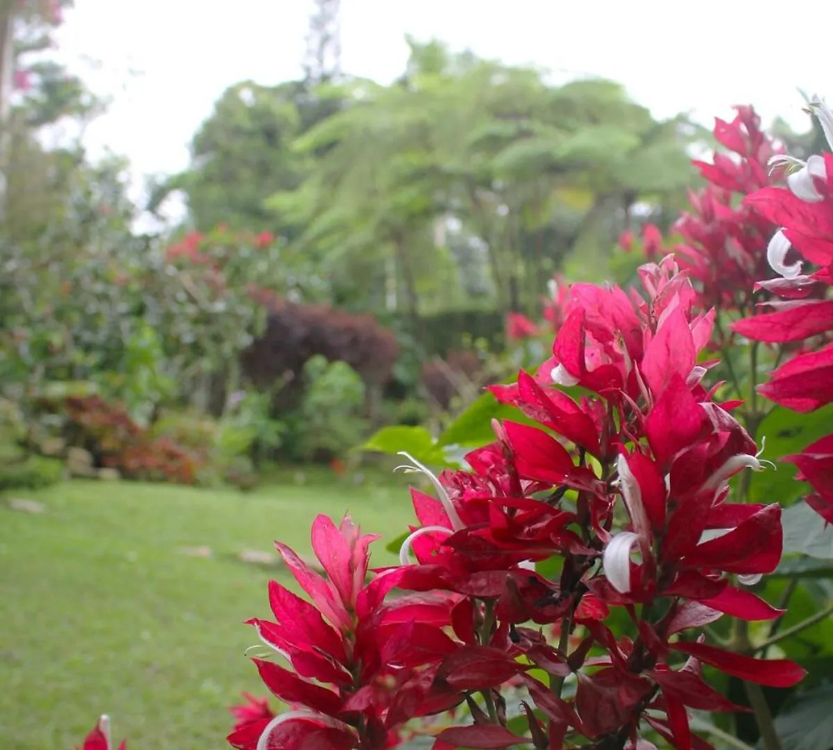 Fresh Weather In Colony, Sc By Drvacationsrental Cambita Garabitos