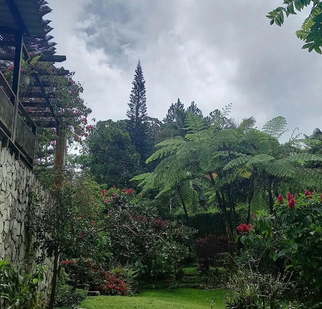 Fresh Weather In Colony, Sc By Drvacationsrental Cambita Garabitos